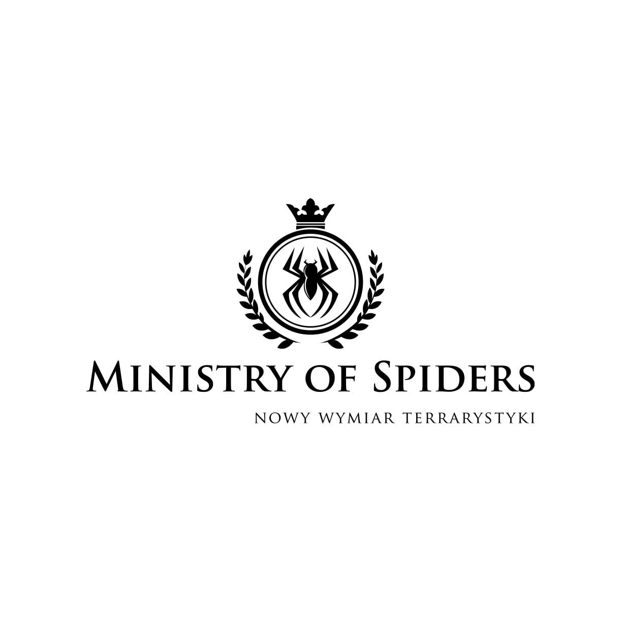 Chilobrachys sp. Prachuap Khiri Khan Samica 4,5/5 DC